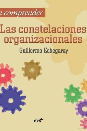 Para Comprender Las Constelaciones Organizacionales Echegara