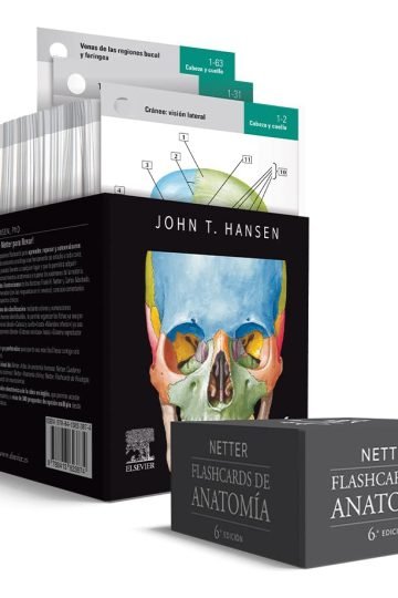 Netter Flashcards De Anatomía John T. Hansen Phd