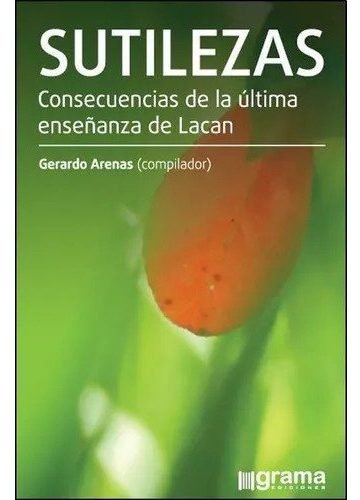 Sutilezas Consecuencias De La Última Enseñanza De Lacan