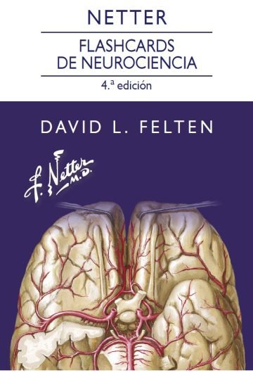 Netter. Flashcards De Neurociencia, 4.ª Edición