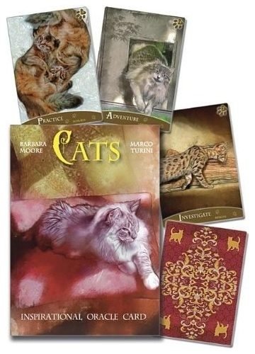 Cats Inspirational Oracle Cards Cartas - Barbara Moore