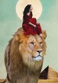 The Muse Tarot : A 78-card Deck And Guidebook - Chris-anne - Imagen 8