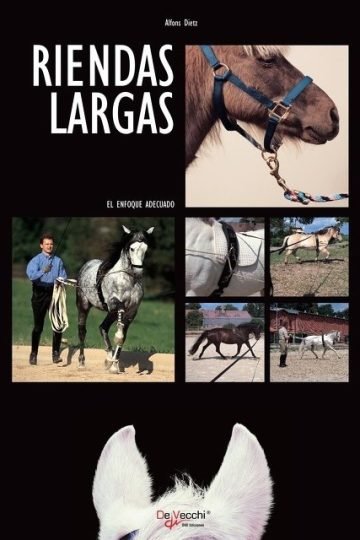 Riendas Largas Caballo Caballos Equitación