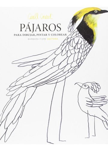 Pájaros Para Dibujar, Pintar Y Colorear Aves Arte