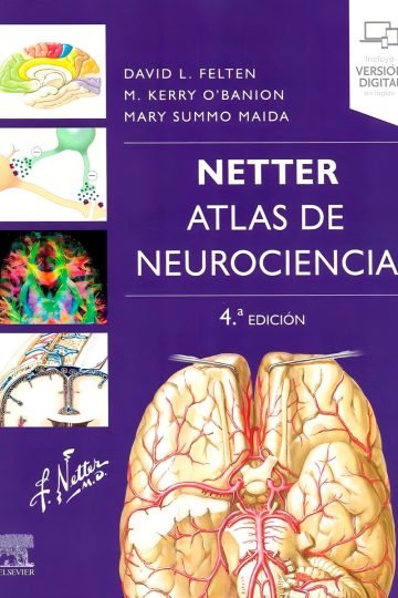 Netter Atlas De Nuerociencia 4a Edición Medicina