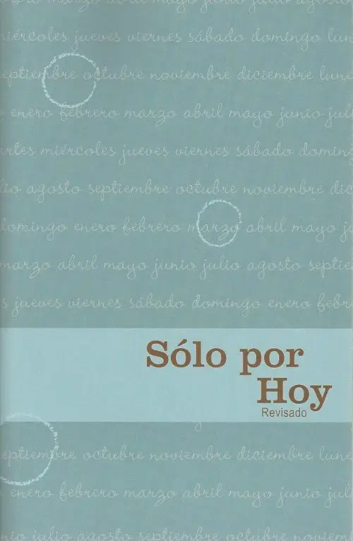 Solo Por Hoy Adictos Recuperación Narcóticos Anónimos