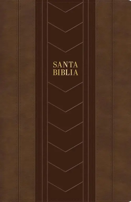 Biblia Rvr 1960 Edición Especial Letra Grande Simil Piel