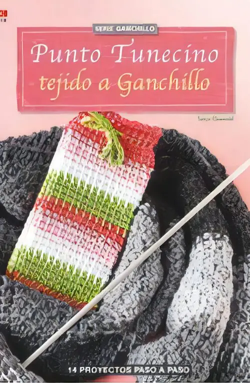 Libro Punto Tunecino - Tejido Entre Ganchillo Y Tricot