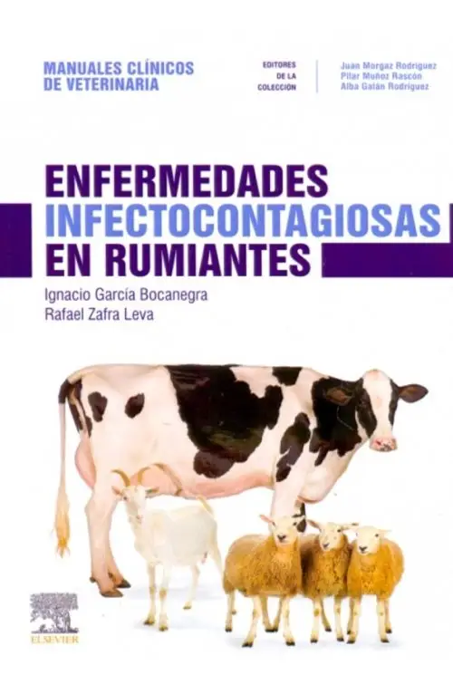 Enfermedades Infectocontagiosas En Rumiantes Elsevier