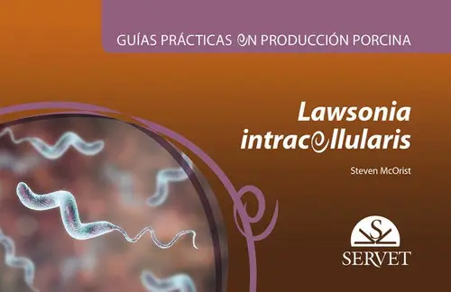 Producción Porcina: Manejo De Enfermedades Infecciosas