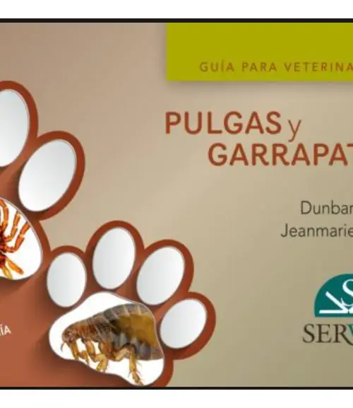Pulgas Y Garrapatas Guía Para Veterinarios - D. Gram -servet