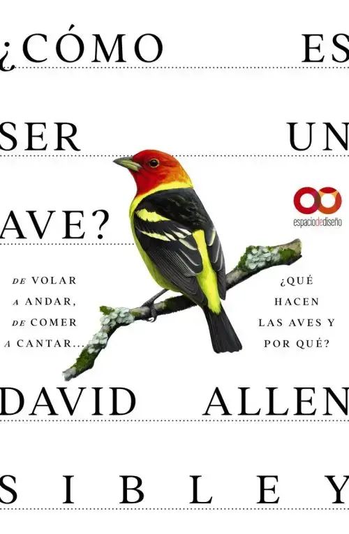 Libro De Aves - Cómo Viven Y Sienten Las Aves