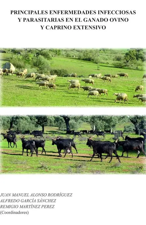 Principales Enfermedades Infecciosa Parasitaria Ganado Ovino
