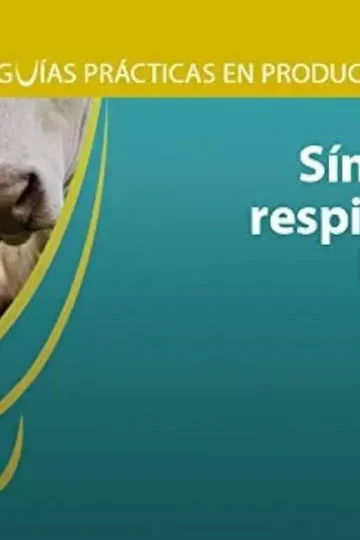 Síndrome Respiratorio Bovino Guía Práctica Servet