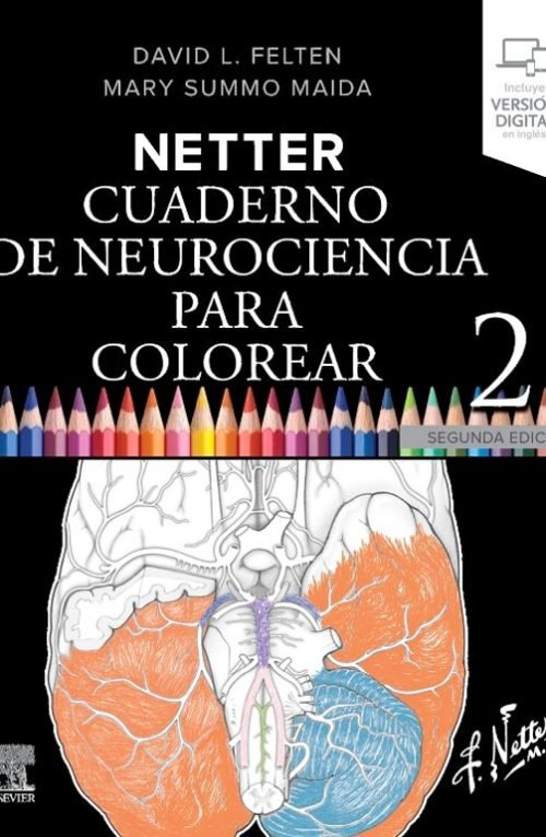 Libro Netter Cuaderno De Neurociencia Para Colore De Netter Felten Editorial Elsevier Tapa Blanda En Español 2025