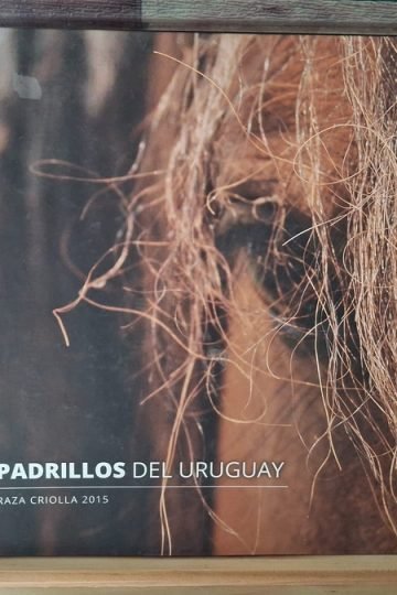 Padrillos Del Uruguay 2015 - Raza Criolla Catálogo