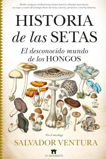Historia De Las Setas: El Desconocido Mundo De Los Hongos