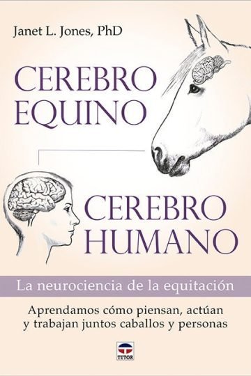 Cerebro Equino Cerebro Humano Neurociencia Caballos